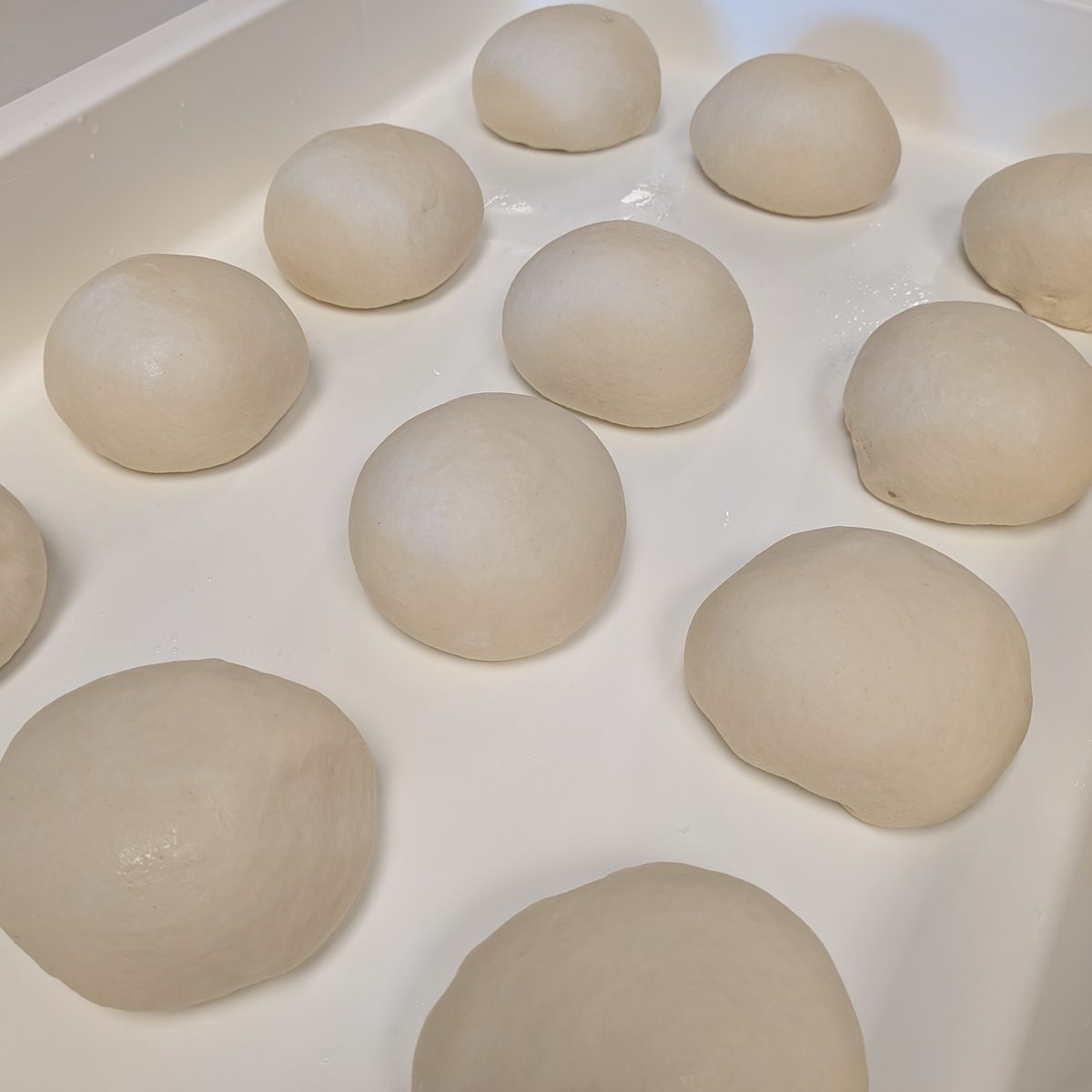 Fresh Dough Every Day