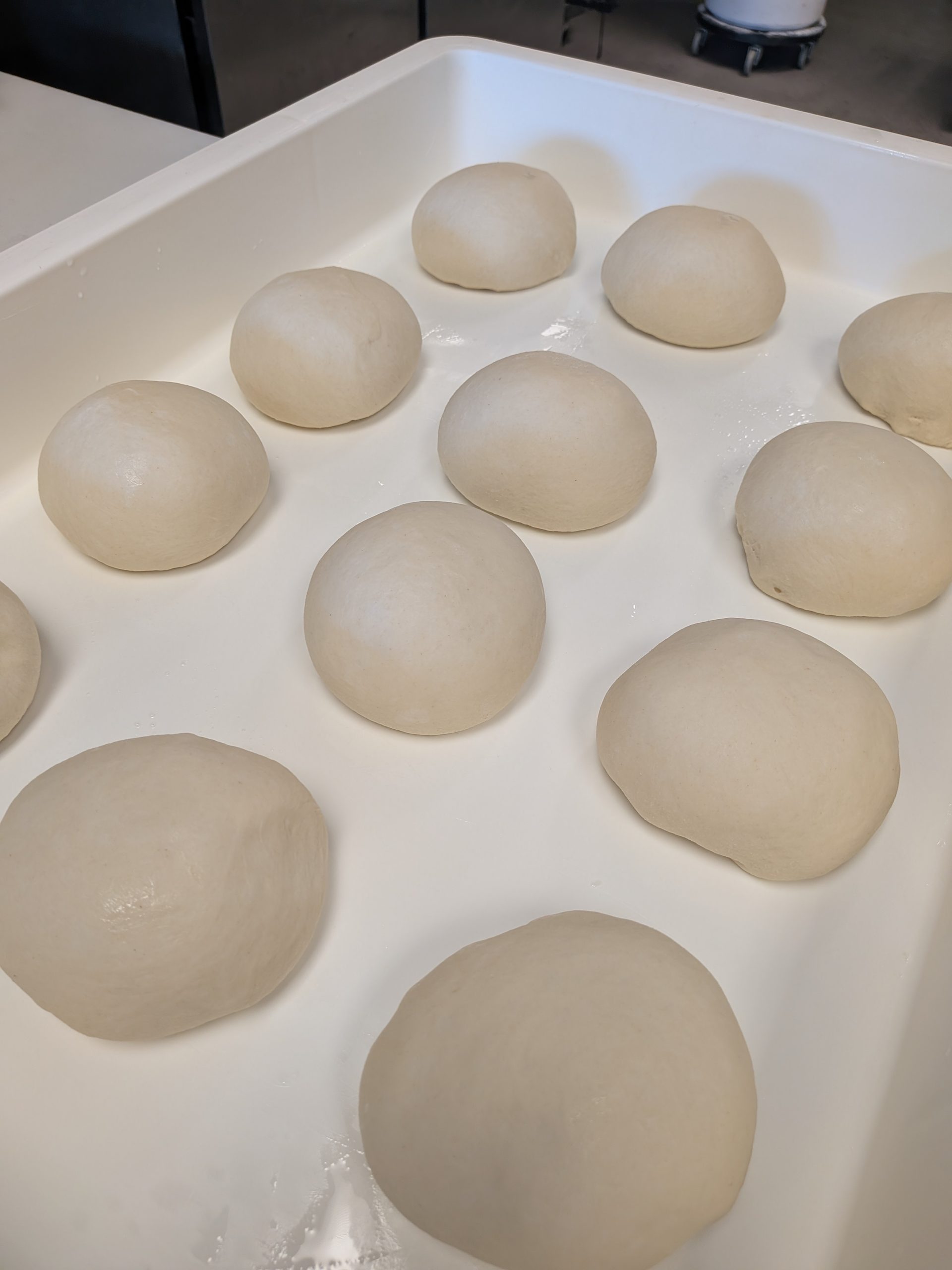 Fresh Dough Every Day