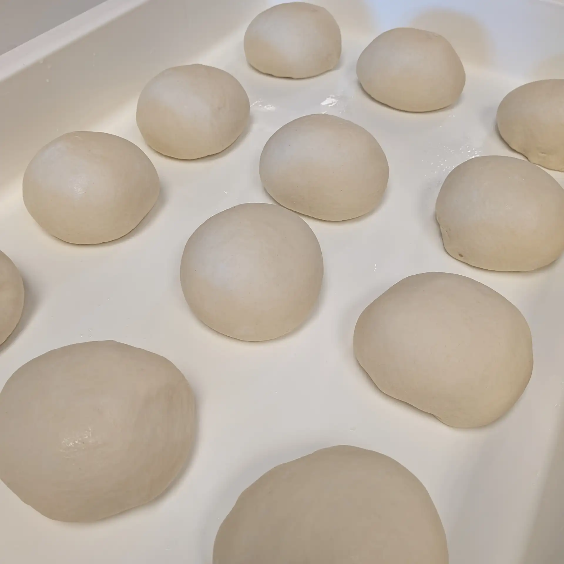 Fresh Dough Every Day